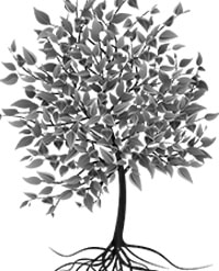 PTP tree placeholder image